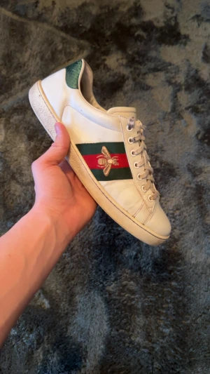 Gucci ace - Snygga Gucci ace skor i fint skick. Inget og ingår 