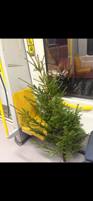 Huvtröja - Fin huvtröja i bra skick(obs paxad till Liv)🥰🥰