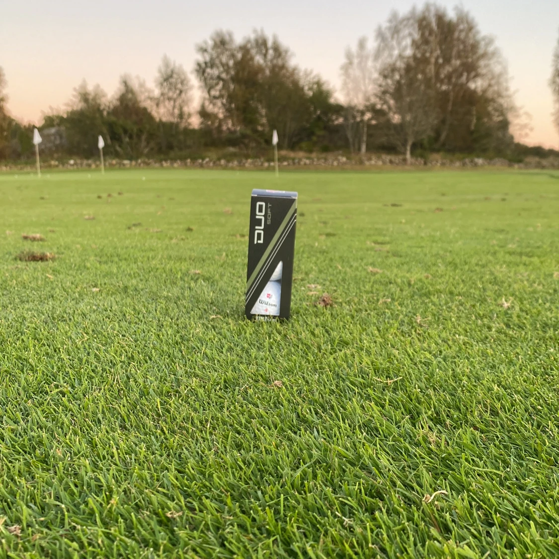 Wilson Duo Soft Golfbollar