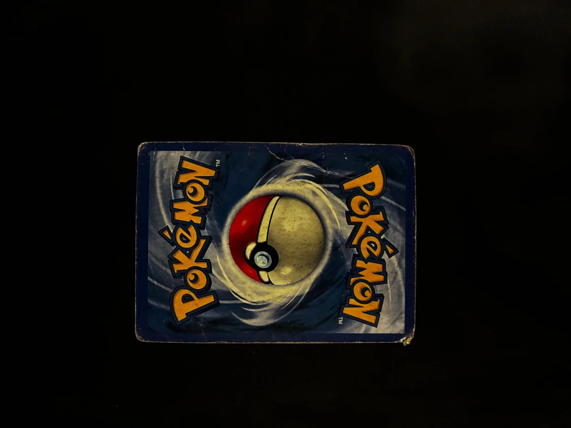 Raikou & Suicune Legend - 2