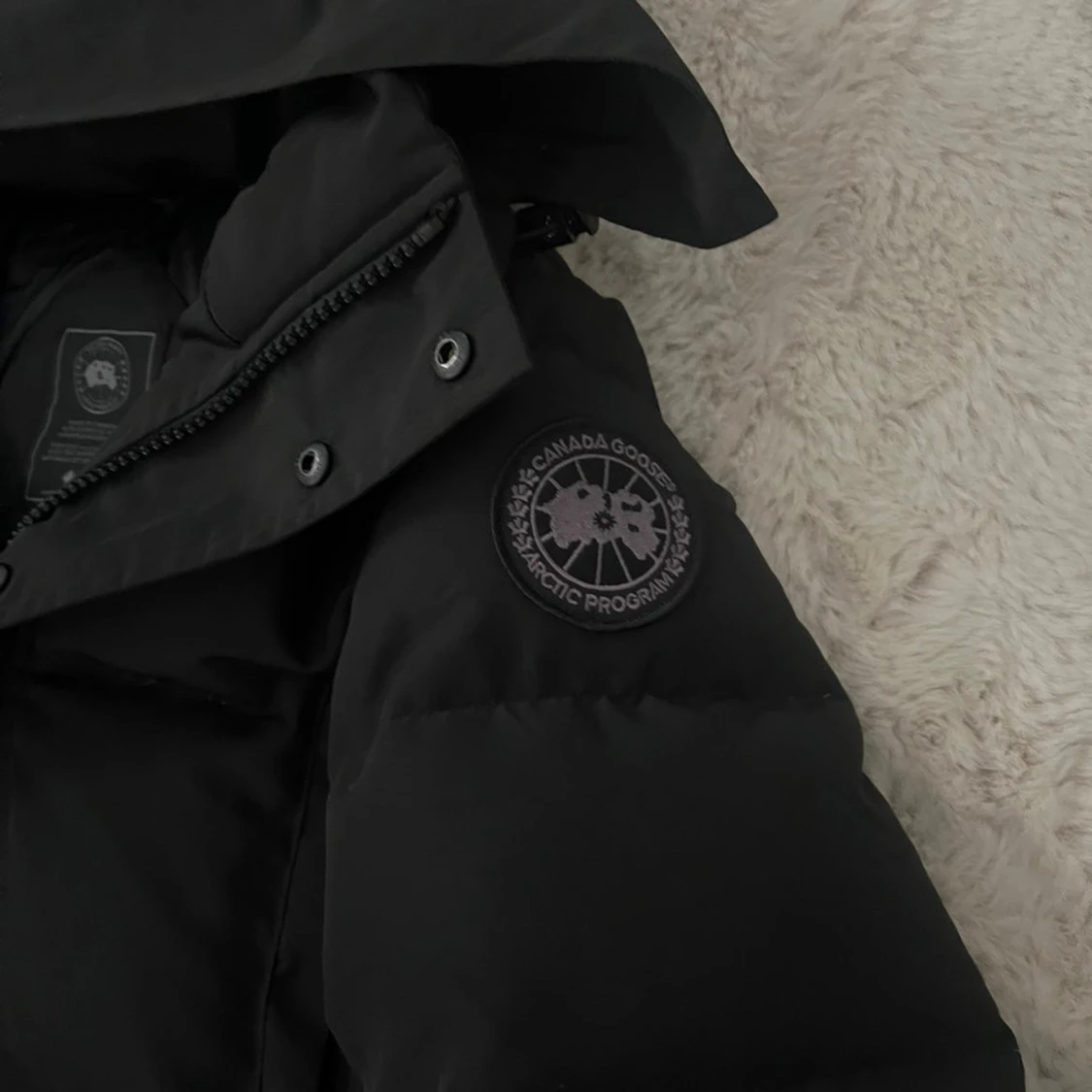 Canada goose Wyndham  - 2