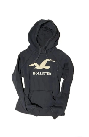 Vintage 2000s Hollister hoodie - Säljer nu denna väldigt fina och bekväma vintage hoodie som ej säljs längre i butik och är därför sällsynt😊 Passar perfekt till allt och ger en unik touch till en outfit. Storlek S på etiketten men passar XS. Skriv vid funderingar!📲