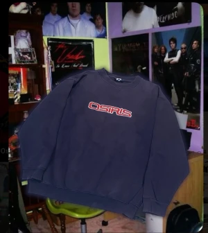 Vintage Osiris tröja - En fet vintage Osiris skate tröja från 2000-talet. Bra skick. 69cm längd och 56cm bredd. 