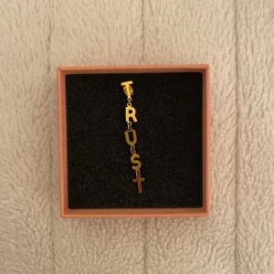 Guldigt örhänge med bokstäver TRUST från IOAKU - Jättefint guldörhänge från IOAKU med texten TRUST. Knappt använt. ❤️pris kan diskuteras