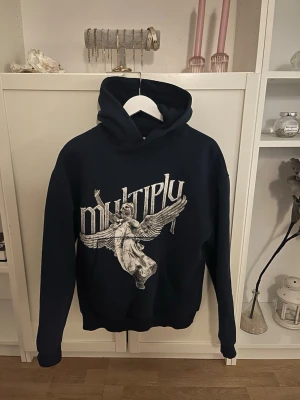 Multiply apparel hoodie - Riktigt snygg oversize hoodie från multiply apparel. Är i XS men sitter bra på mig som är 182. Riktig snygg och säljs inte längre samtidigt som skicket är ruggigt bra.