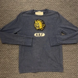 Abercrombie & Fitch Tröja  - fet A/F tröja i strolek M //// mycket bra skick //// kan gå ner i pris vid smidig affär //// hör av er vid eventuella frågor 🦁