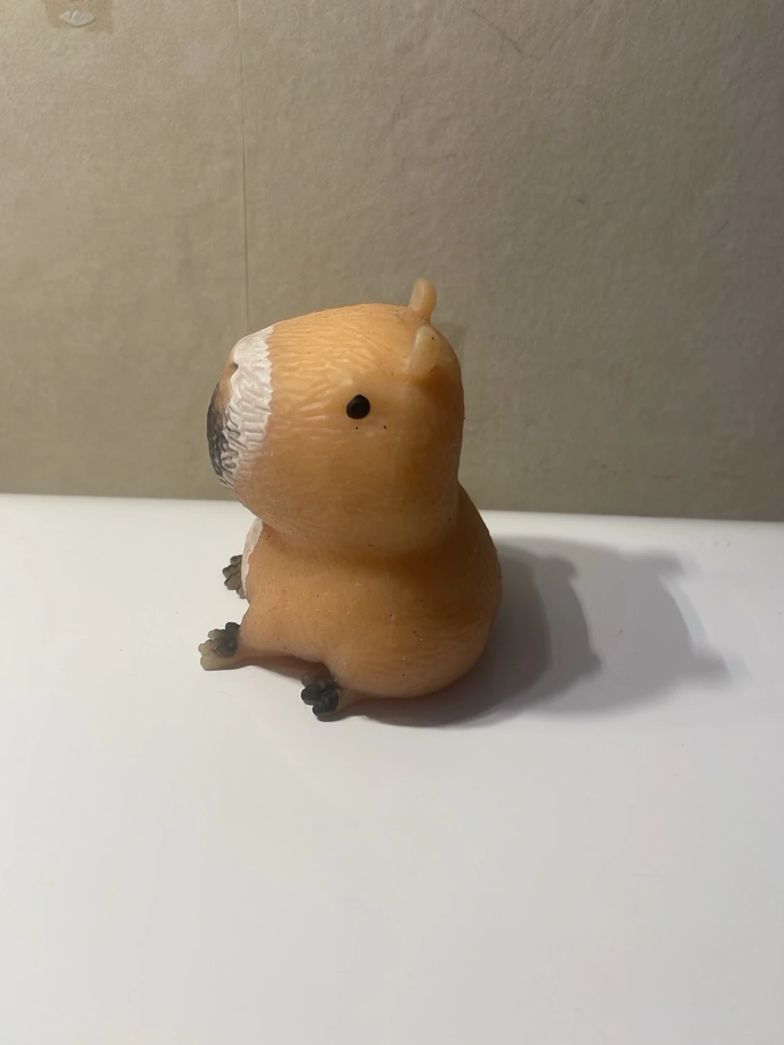 Kapybara squishy  - 1
