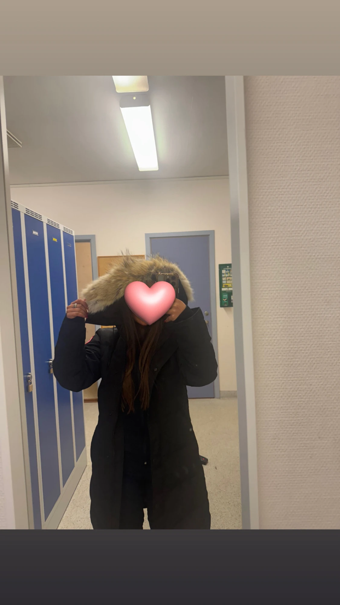 Shelburne canada goose - 1