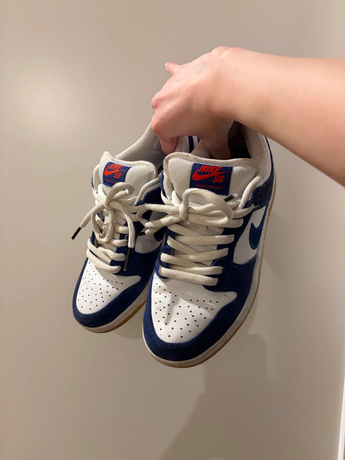 sb dunks - 2