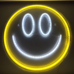 Neon Light Smiley 162 LED - Dekorativ LED-neonskylt i form av en smiley, 33 cm i diameter. Perfekt för inomhusbruk, ger ett färgglatt och modernt intryck. 162 LED-lampor, 3 m sladd och timerfunktion.Lampan är i ny skick utan synliga skador eller slitage.