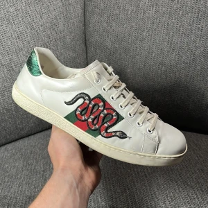 GG ace snake - Säljer dessa feta GG aces i storlek 8 som motsvarar 42-43 ungefär. Skorna är i väldigt fint skick och kostar i butik 8000kr men säljs nu för endast 1399kr‼️‼️