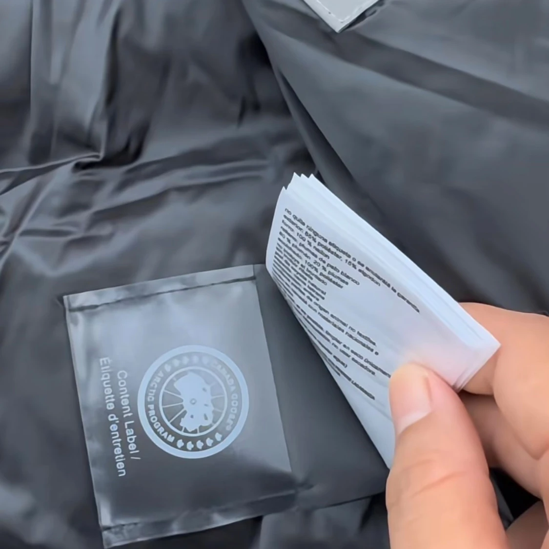 Canada goose MACMILLAN - 2