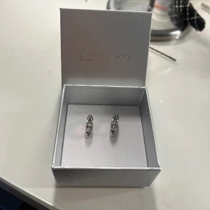 Silvriga örhängen med nitar från Edblad - Säljer ett par coola silvriga örhängen från Edblad. De är halvcirkelformade och har flera nitar runt hela örhänget. 