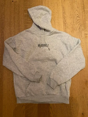 Hoodrich tröja dam - En grå tröja från Hoodrich, med liten text över bröstet. Tröjan är i dammodell. Storlek XS men passar mig som vanligtvis har S.