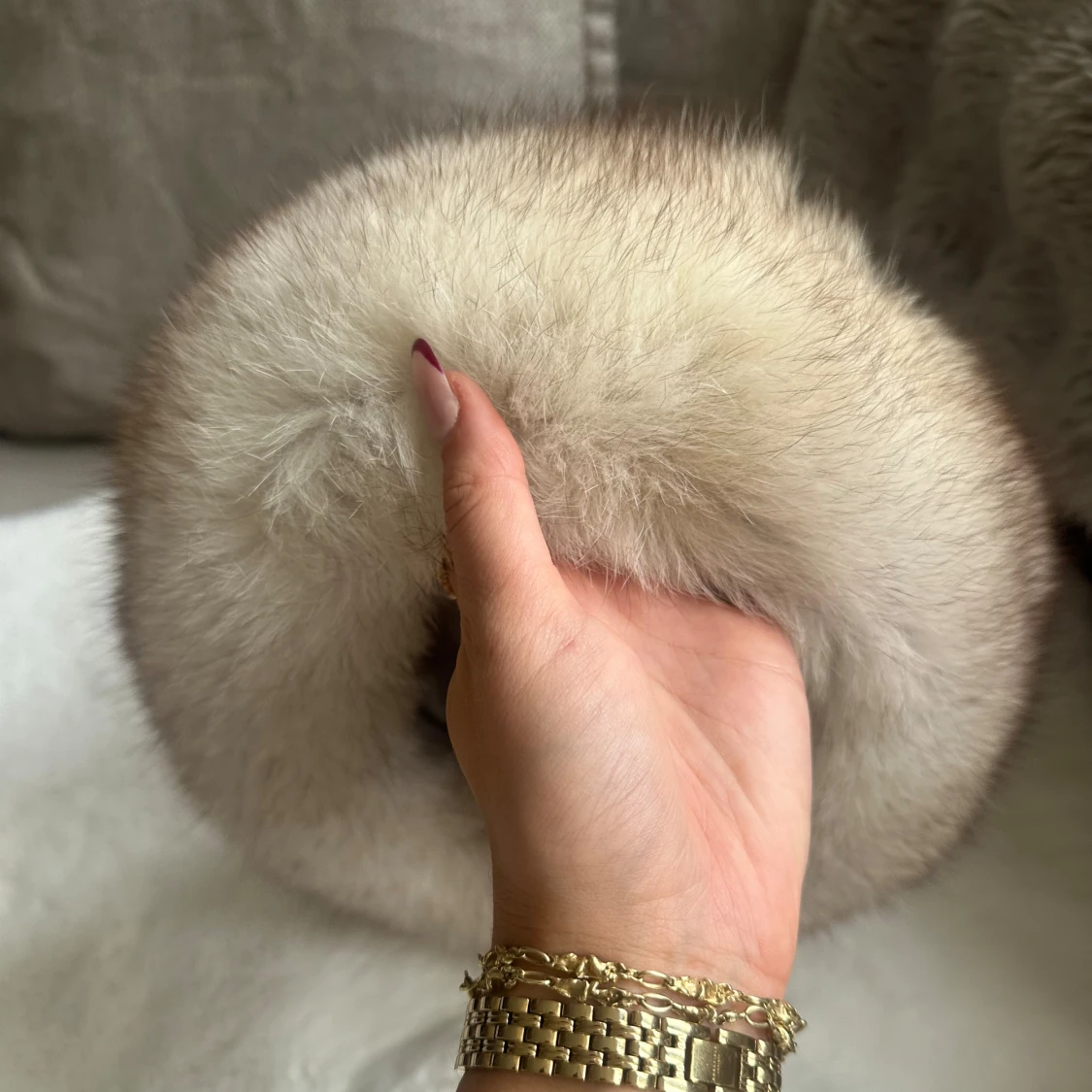 Pälsen blåräv - 4