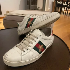 Gucci Ace - Gucci Ace i gott skick med mindre slitage. Pris kan diskuteras och frågor tas privat.