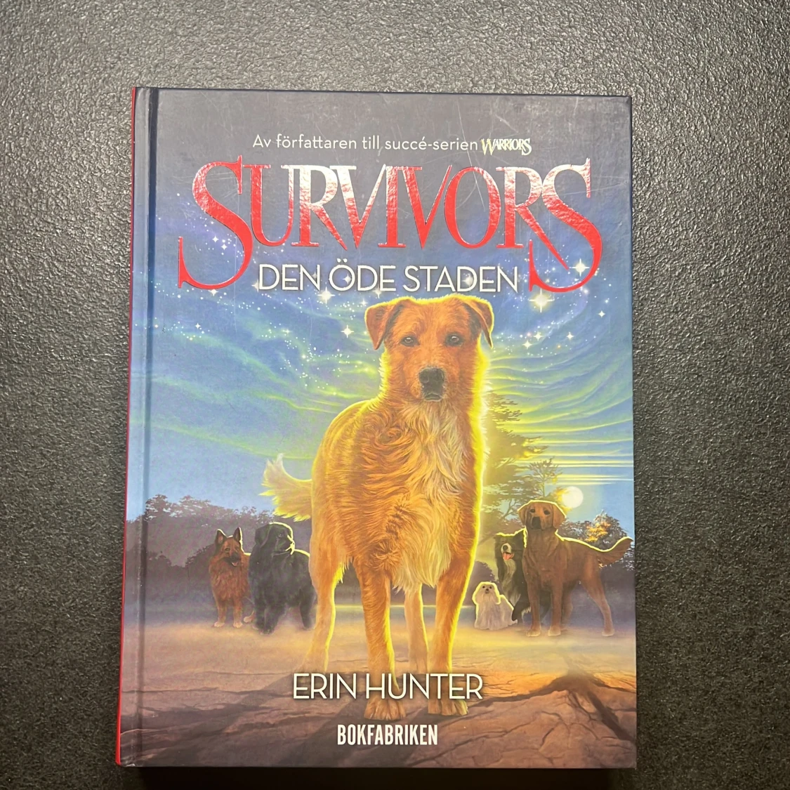 Survivors, Den Öde Staden