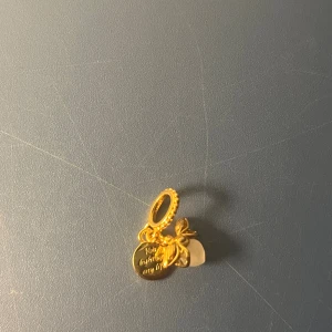 Pandora guldberlock med eld-fluga  - Säljer en snygg Pandora berlock i guldton med en söt firefly-design och rund platta med texten 'You light up my life'. Firefly’s kropp är i vit sten som lyser i mörker. Perfekt att hänga på armband för en personlig touch. Pris kan diskuteras 
