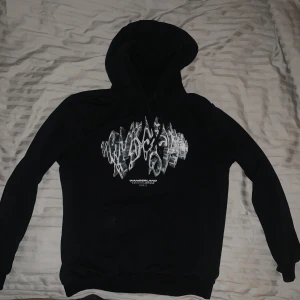 Svart Wanderland AntWan hoodie - Säljer en svart hoodie från Ant Wan med stor vit grafisk print på både fram- och baksidan. På bröstet finns ett futuristiskt mönster och texten 'Wanderland', medan ryggen har stor text och låttitlar. Hoodien har huva och långa ärmar, perfekt för en streetwear-look.