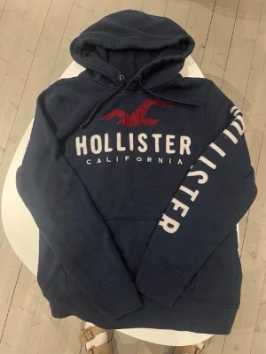 Hollister hoodie - Lite skön archive hoodie sådär från hollister. Soft o ganska svår o få tag på.