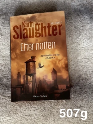 Efter natten - Spännande bok av Karin Slaughter, del 11 i Will Trent-serien. Omslaget visar en stadssilhuett i dramatiskt ljus med en fågel som flyger förbi en vattentank. Perfekt för dig som gillar nervkittlande berättelser och mysterier!🌸 Hel