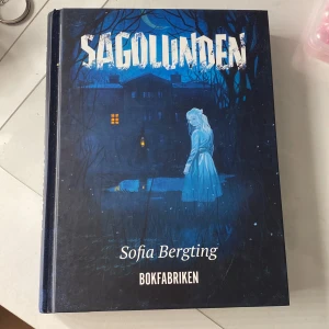 Bok - Sagolunden, bra och spännande bok. Perfekt som julklapp 