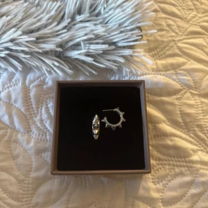 Edblad nitörhängen  - Populära nitörhängen från Edblad säljer så jag är guld , boxen ingår ej. Dom är i bra skick