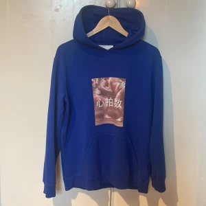 Blå hoodie från Axel Arigato - Säljer en blå hoodie från Axel Arigato med en stor grafisk print framtill som visar sumobrottare och japanska tecken. Tröjan har huva, känguruficka och långa ärmar. Perfekt för dig som gillar streetwear och unika prints.