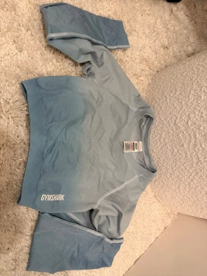 Ljusblå croppad tröja från Gymshark - Säljer en ljusblå croppad tröja från Gymshark med lång ärm och snygg rynkning baktill, matchande till de ljusblåa shortsen. Diskret logga framtill och ribbade muddar.