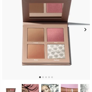 Sassy paletten  - Säljer min sassy palett då den inte kommer till användning. Den är använd lite grann, skriv för fler bilder på hur mycket använd den är. Säljer för 200 inkl frakt🥰