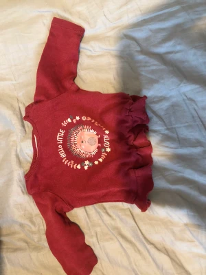 Röd tröja  - En jätte fin vinröd tröja 