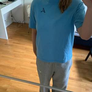 Ljusblå Jordan tshirt, används aldrig. Står inte storlek men gissar på S