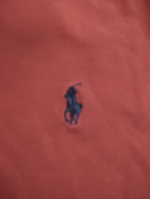 Ralph Lauren  - Ralph Lauren t shirt i storlek M, skick 6/10. Om du vill ha flera bilder eller du har frågor du kan skriva till mig 🤗💛