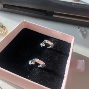 Silver örhängen - Säljer mina as coola örhängen. Aldrig använda, inte ens testade!! Säljer lika dana i guld