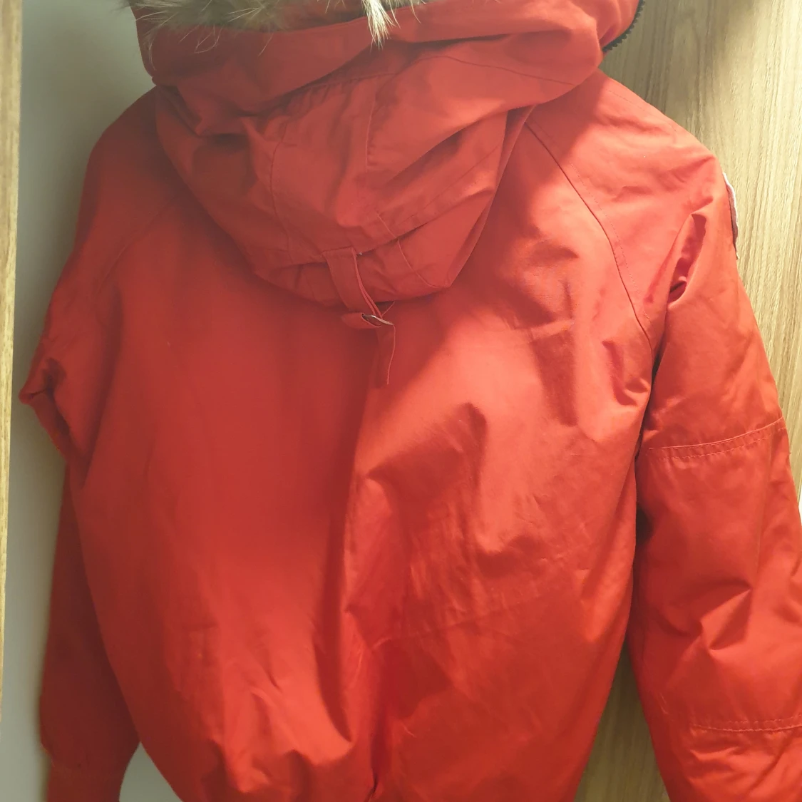 Canada Goose chilliwack  - 91