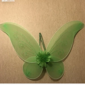 Utkläddnads vingar - Dem är använd en gång till en tingeling kostym. 