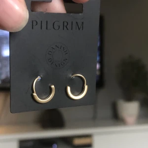 Pilgrim guld öronhängen  - OANVÄNDA pilgrim ögronhängen med en cool snurr detalj. Original pris är 200kr säljer för 100kr! Priset går alltid att diskutera 