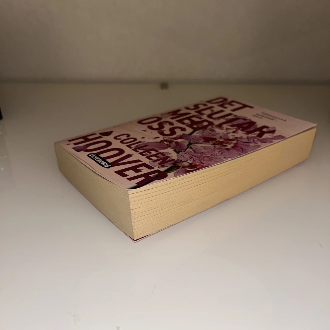 Det slutar med oss Bok - 91