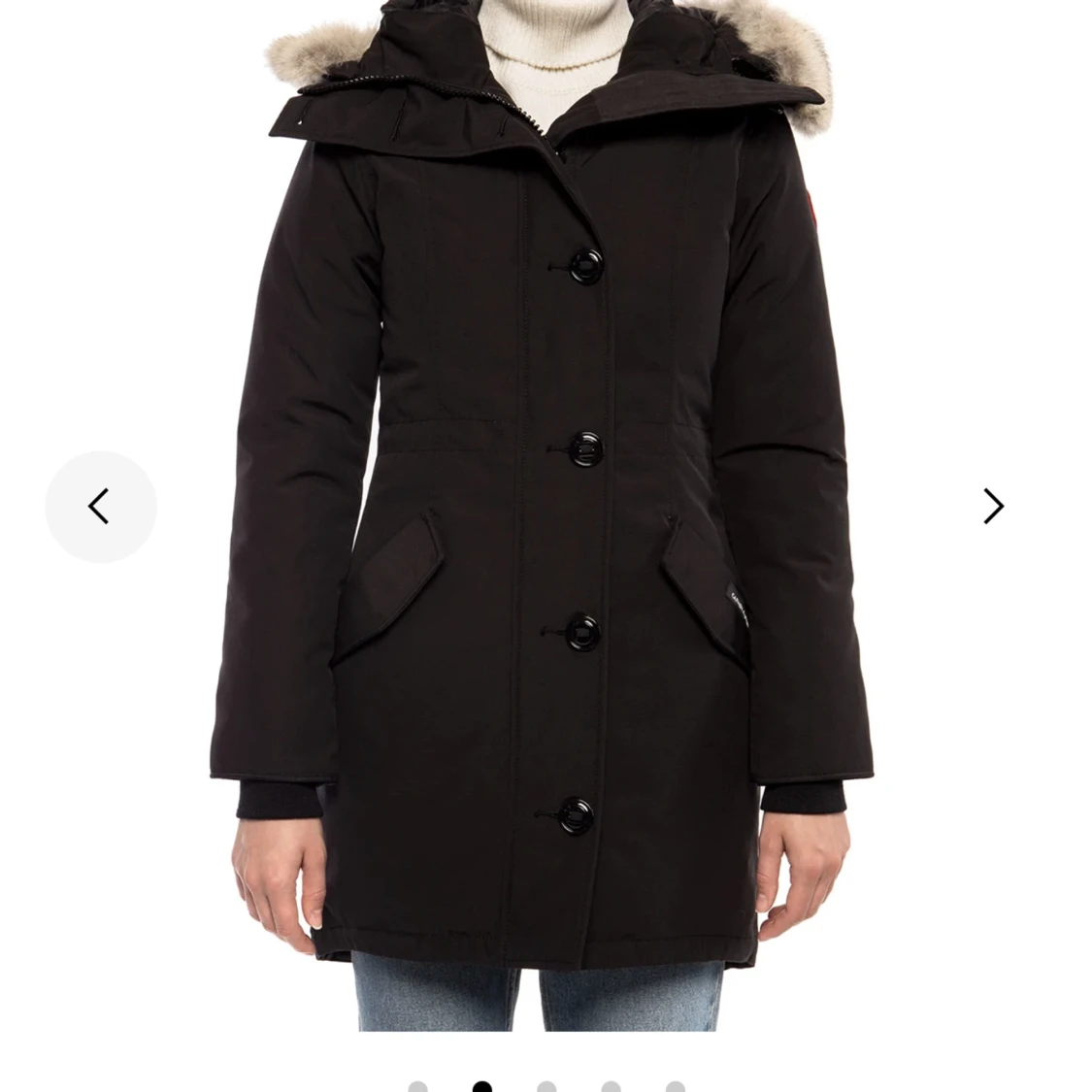 Canada goose Rossclair  - 90