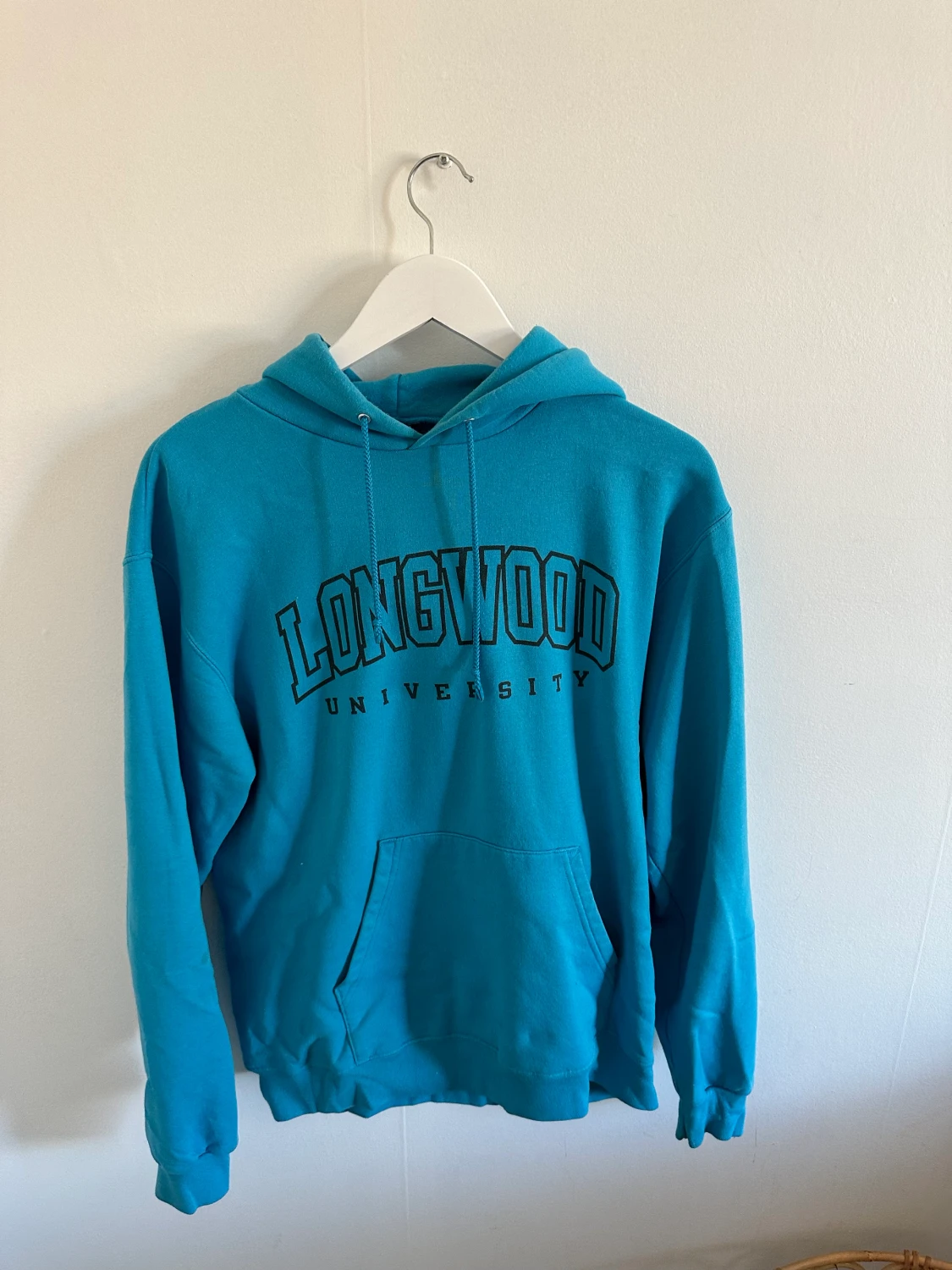 Vintage champion hoodie