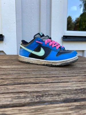 Nike dunk low  - Hej, säljer ett per Nike dunk low som är köpta på Nike. Skornas skick är 8. Det enda som är skadadat är i hälen. Dom tvättas innan dom skickas.nypris är runt 1200