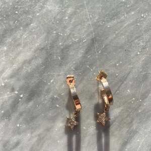 Stjärn örhängen  - Hängiga stjärnörhängen 