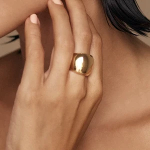 Edblad Boyd - Ring från edblad, säljer då jag inte använder ringen alls tyvärr. Den är som helny har endast provat den. Strl 19,5M på ringen 