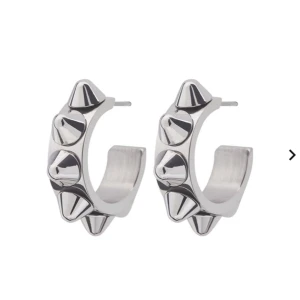 Edblad örhängen  - Jag säljer dom här örhängena för att jag inte har någon användning för dom jag har använt dom Max 2 gånger dom ser som nya ut.💕