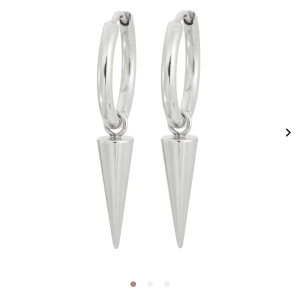 Edblad örhängen - Hej säljer dessa örhängen från edblad. Dom är aldrig använda och inte ens provade. Kostar 400kr att köpa. 💋