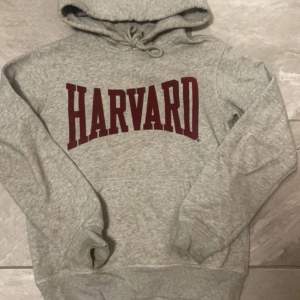 Grå Harvard hoodie