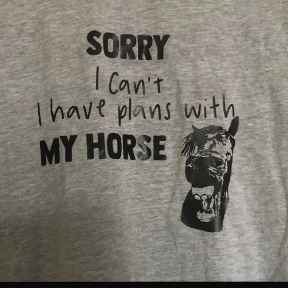 Grå T-shirt med tryck på bröstet  ”Sorry I can’t, I have plans with my horse”  Stl L men skulle säga mer som en M  Aldrig använd . T-shirts.