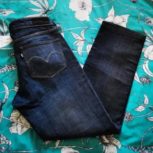 Levi's jeans size 4/27. Straight leg. Low rise. Used only once 