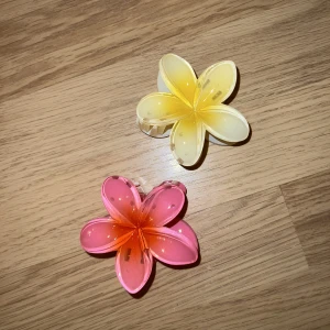 Söta hårklämmor - Söta hårklämmor köpta i London