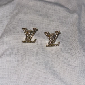 Örhängen  - Helt nya rostfria örhängen oöppnade